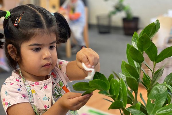 Caring for Plants