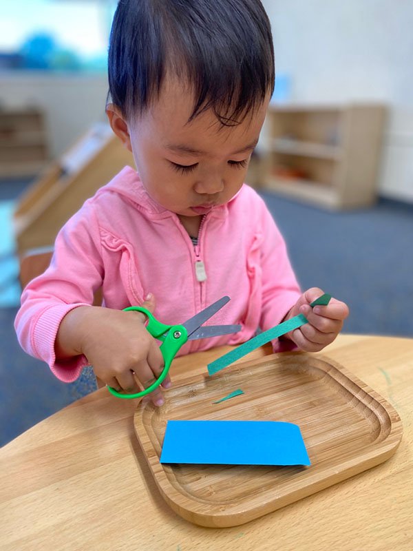 Cutting with Scissors